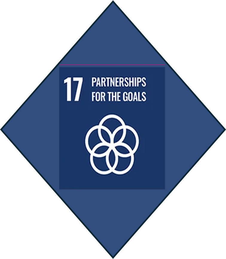 17 partnerships for the goals